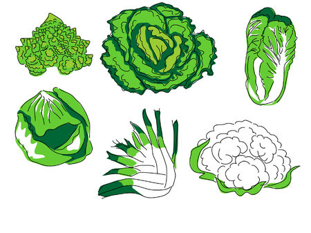vegetablesのイラスト素材