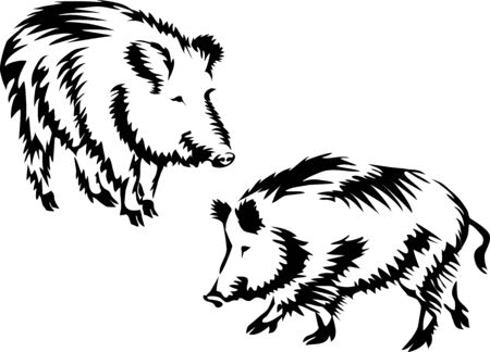 2 Wild boar2のイラスト素材
