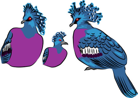 Crowned pigeon - vector illustration of the pair with youngのイラスト素材
