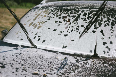 Machine in the foam. Car wash. Car in the foam from the cleaning agent. Parts of the machine in the...