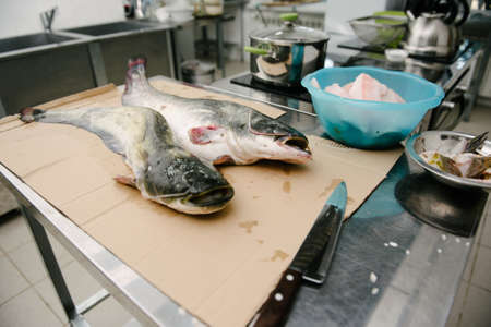 The cook cuts a large fish with a knife on the table in the kitchen close-upの写真素材