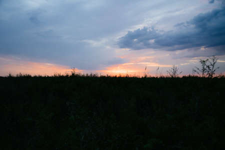 Landscape Of Green Wheat Field Under Scenic Summer Colorful Dramatic Sky In Sunset Dawn Sunrise....