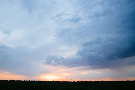 Landscape Of Green Wheat Field Under Scenic Summer Colorful Dramatic Sky In Sunset Dawn Sunrise. Skyline. Copyspace On Clear Sky.の写真素材