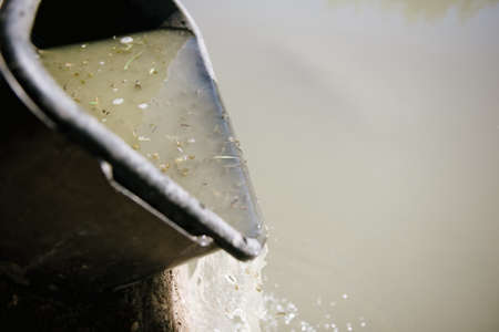 Rescue of fry of fishes from arid reservoirs. Catching of fry of fishes by a gridの写真素材