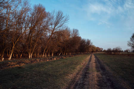 the dirt road goes off into the distance on a green field.Steppe landscape