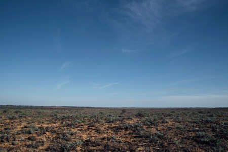 Steppe landscape. Small green vegetation on hot sand.Monotonous steppe, steppe distanceの写真素材