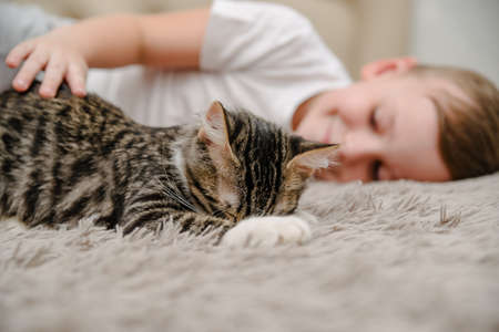 Little boy stroking a cat in bed.Portrait of Caucasian preschooler boy sitting on bed in bedroom at home and stroking cat.の写真素材