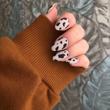 Female manicure with leopard design. Manicure with leopard design. Female fingers with with black spotsの写真素材