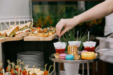 Delicacies and snacks at the buffet or banquet. Catering.snacks on the table at the holiday. banquet...