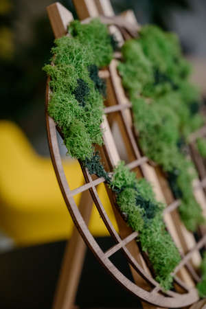 stabilized moss. Table decorated with stabilized moss.Stabilized green moss in the interiorの写真素材