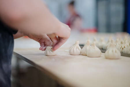 Front view of woman's hands making meat dumpling. The process of making homemade dumplings. Minced...