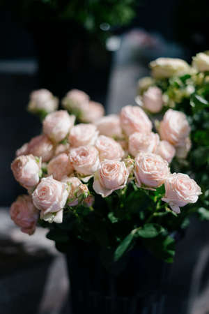 White roses in a flower shop.Beautiful flowers for a catalog, online store. flower business. Concept...