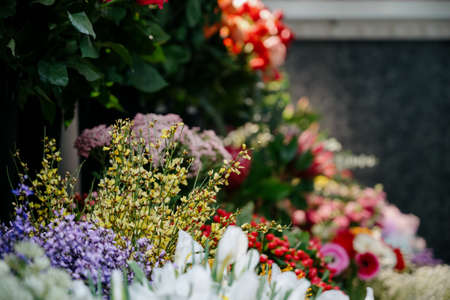 Flower shop.Flowers composition. Abstract background of flowers.Beautiful colorful flowers in flower shopの写真素材