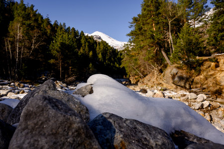 Close-up of snow-covered rocks in a mountain river bed against the backdrop of a pine forest and a...