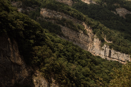 A close-up of a rock wall with vegetation and mountain peaks deep in a canyon. The steep rocky...