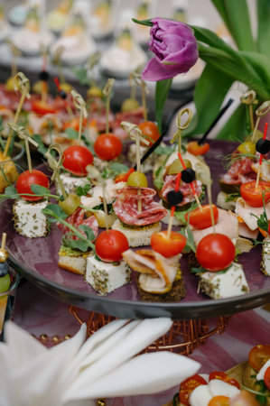 Assorted canapes with tomatoes, olives, cheese and salami. Catering close-up of various canapes with cheese and meat delicacies on skewers.の写真素材
