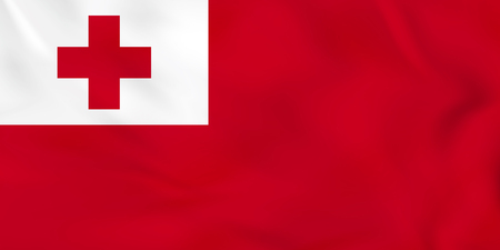 Tonga waving flag. Tonga national flag background texture. Vector illustration.のイラスト素材