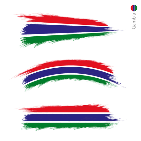 Set of 3 grunge textured flag of Gambia, three versions of national country flag in brush strokes painted style. Vector flags.のイラスト素材