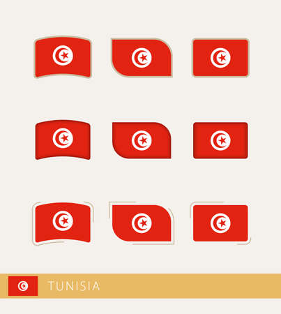 Vector flags of Tunisia, collection of Tunisia flags. Vector icon.のイラスト素材
