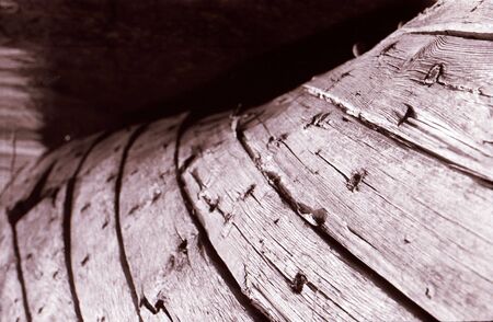 Old Weathered Boat
