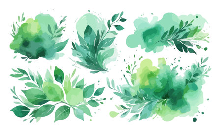 Set of green watercolor splashes and leaves. Vector illustration.のイラスト素材