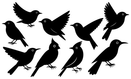 Set of black birds silhouettes isolated on white background. Vector illustration.のイラスト素材