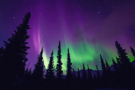 A breathtaking view of the Northern Lights, casting a vibrant green and purple glow over a silhouetted forest.の素材