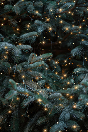 A close-up shot of a Christmas tree with warm, sparkling lights strung through the pine branches.の素材
