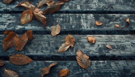 Autumn leaves on the old wooden bench. Seasonal background.の素材