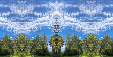 Mirror image of blue sky landscape with trees and clouds