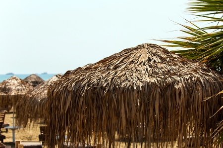 Mediterranean beach umbrellas in Cyprus Larnacaの写真素材