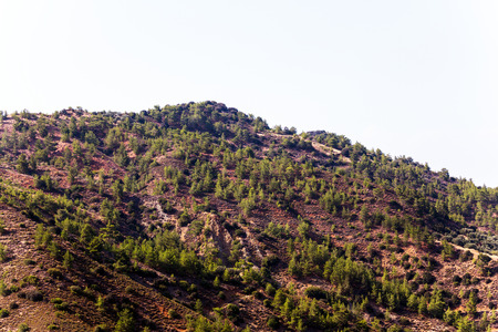 Mountain slopes with trees, terrases and roads in the Troodos region of Cyprusの写真素材