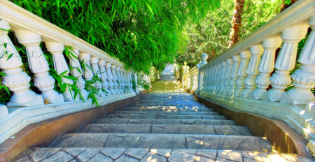 Wide angle vibrant view of white stone stairs in green park of Sochi in summerの写真素材