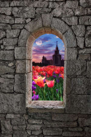 Collage computer image with stone war tower window and view of moony campus of old university with bright tulipsの写真素材