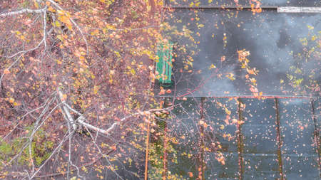 Top view of residential buildings in autumn in Moscowの写真素材