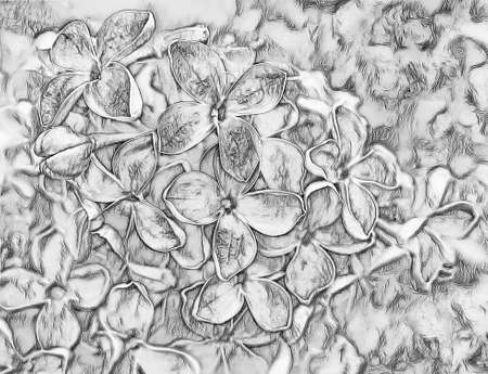 Digital sketch of vibrant pink lilac flowers in spring in botanical gardenの写真素材