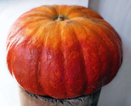 Orange decorative pumpkin on wooden stage in a corner against white wall in Moscow cafe in autumnの写真素材