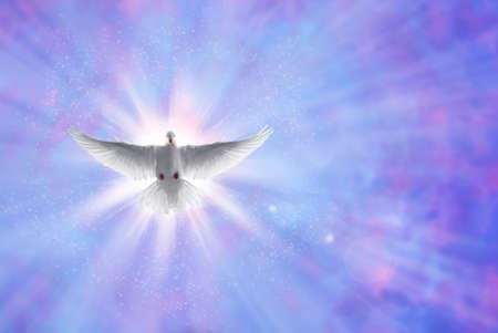 White dove in a blue purple sky, symbol of faithの写真素材