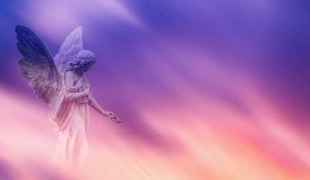 Beautiful angel in pink and blue sky concept of religionの写真素材