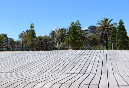 Close up wooden tropical beach planks with trees and blue clear skyの写真素材