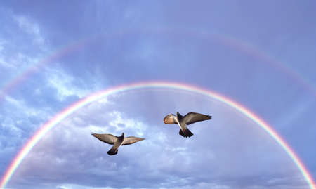 Pair of Doves in the air symbol of faith over double rainbowの写真素材