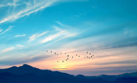 Flock of birds flying over Mountain Range travel, migration, ecology concept