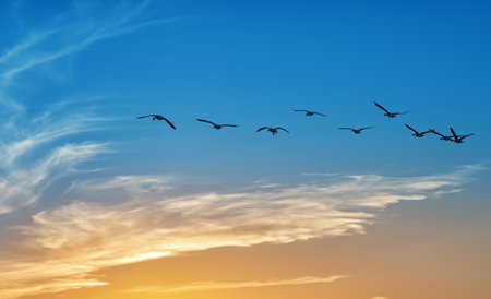 Birds fly across blue and yellow sky, image embodies sense of freedom, serenity, and the beauty of nature in motionの写真素材