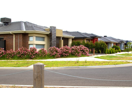 Typical summer street in the Melbourne area, adorned with bright flowers on the bushes. The image provides ample space for text placementの写真素材