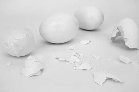White broken eggs and shells on a white backgroundの写真素材