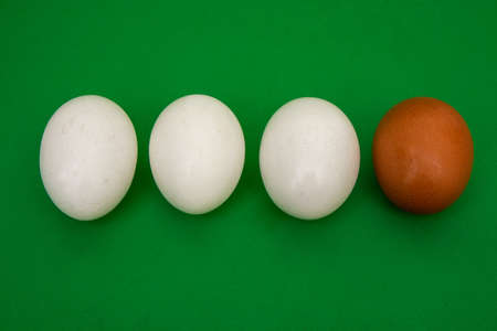 White eggs with a brown egg, as an accent on a green backgroundの写真素材
