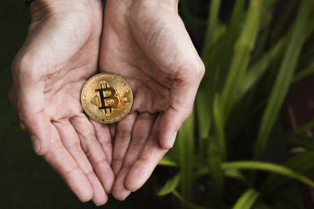 Bit coin coin in a woman's handsの写真素材