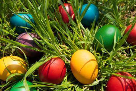 Easter eggs in the grass. A woman's hands arrange and decorate the eggs in the grass