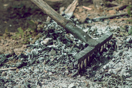 Easter eggs in the grassの写真素材