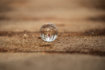 Crystal ball with reflection of trees and a girl in the parkの写真素材